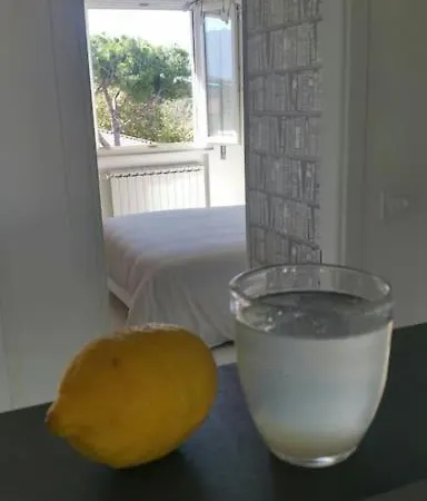 Attico Sui Pini Apartman *